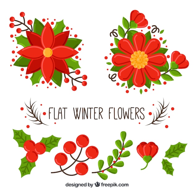 Vettore gratuito collezione di fiori invernali