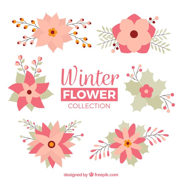 Vettore gratuito collezione di fiori invernali