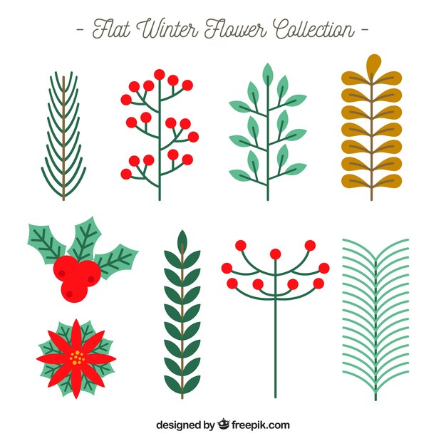 Collection of winter flowers in flat design