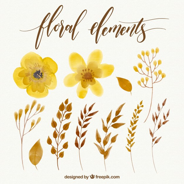 Collection of yellow watercolor flowers
