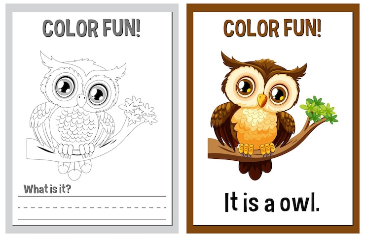 Free Vector color fun owl illustration and activity
