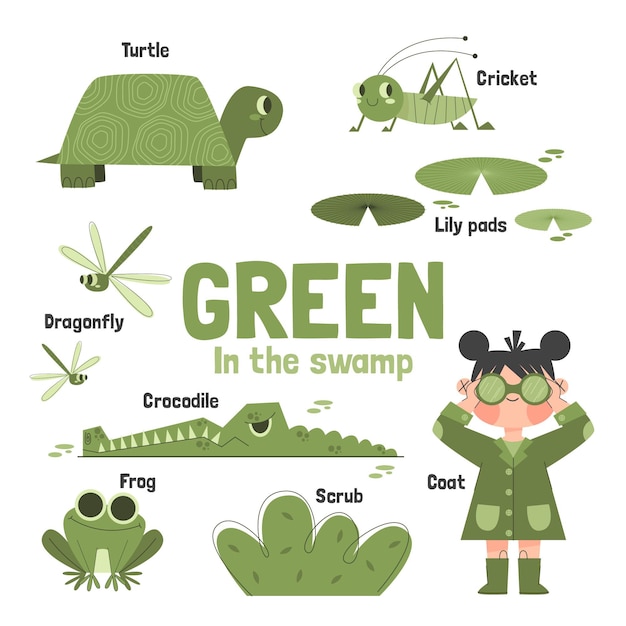 Color green and vocabulary set in english