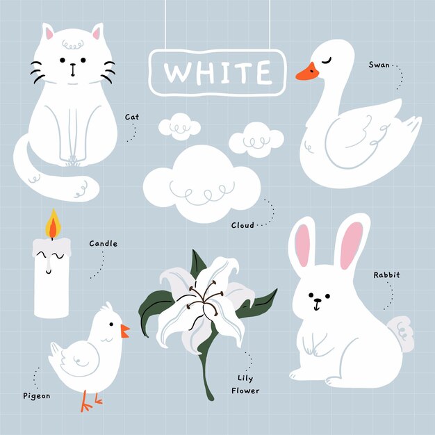 Color white and vocabulary set in english