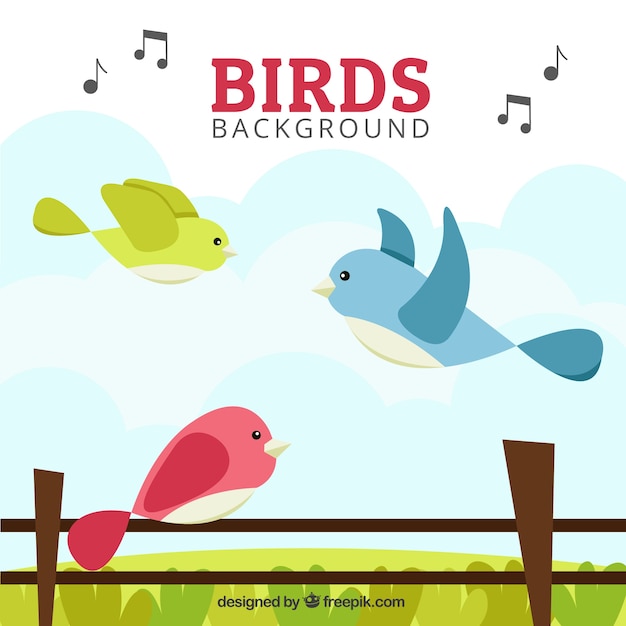 Colored birds in a landscape background 