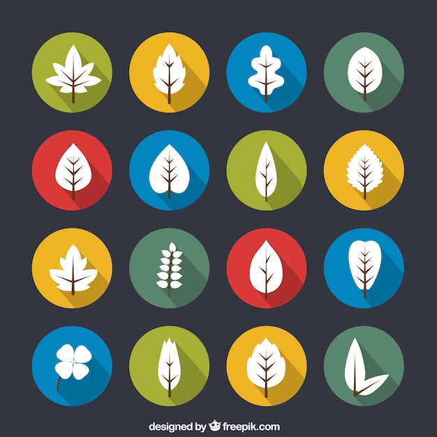 Free vector colored circles with leaves