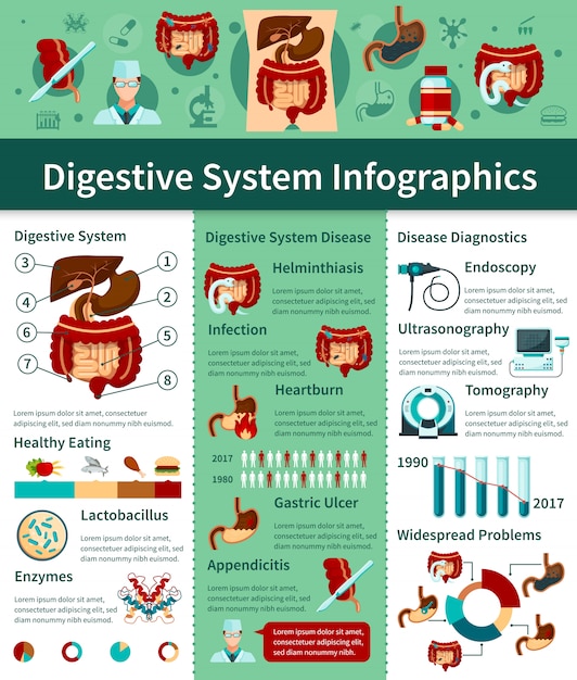 Colored digestive system flat infographics with different types of disease and diagnostics descriptions