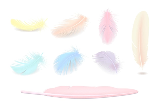 Colored elegant bird feathers realistic set isolated