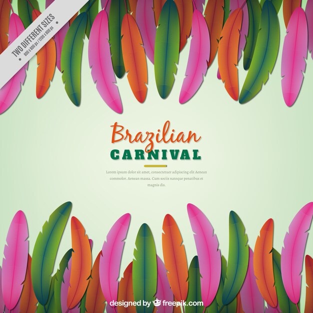 Colored feather background of brazilian carnival