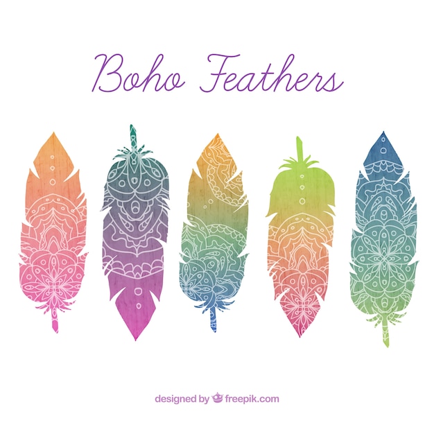 Free vector colored feathers with hand drawn ornaments in boho style