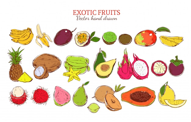 Colored fresh natural exotic fruits set