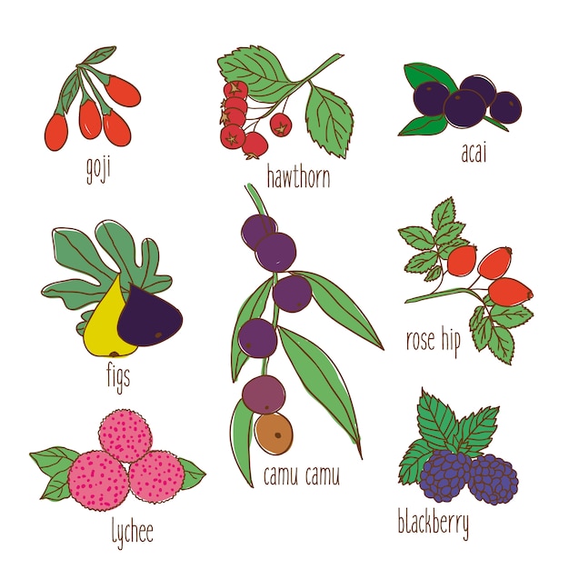 Цветные рисованной ботанический пищевой набор