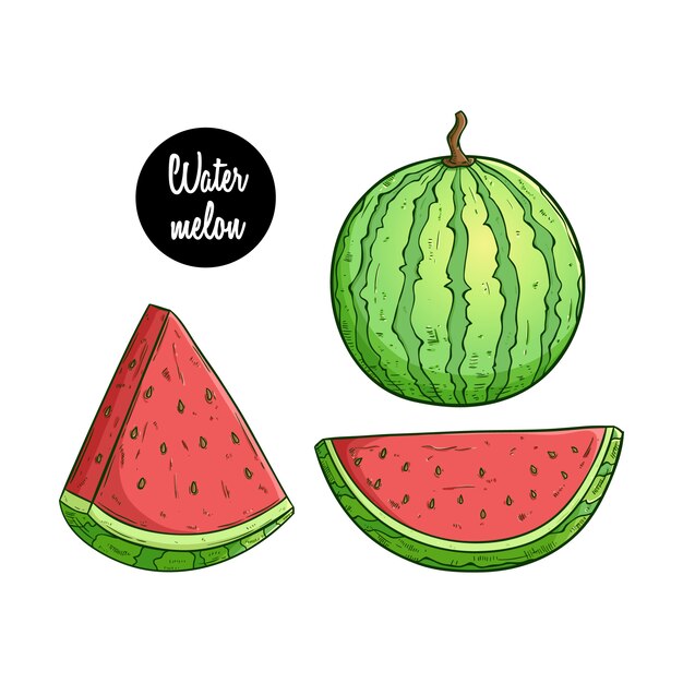 Watermelon Summer Fruit And Leaves Background Vector Free