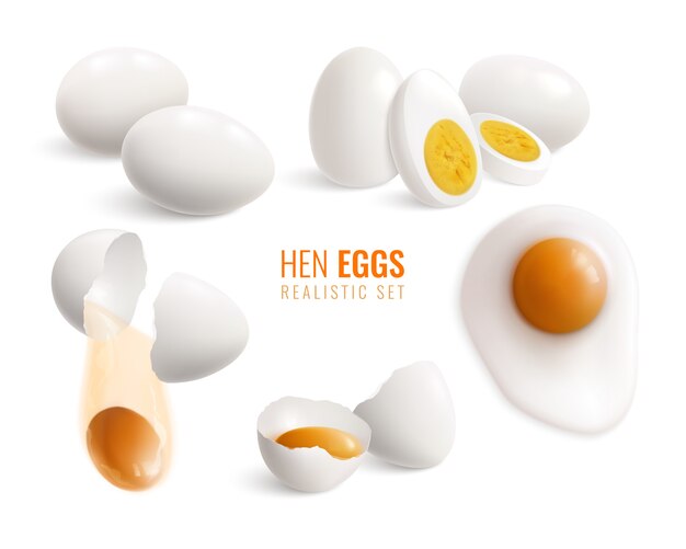 異なる調理方法ベクトルで設定された色の分離と現実的な鶏卵イラスト