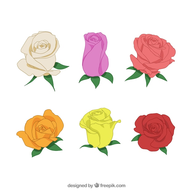 Free vector colored pack with six different roses