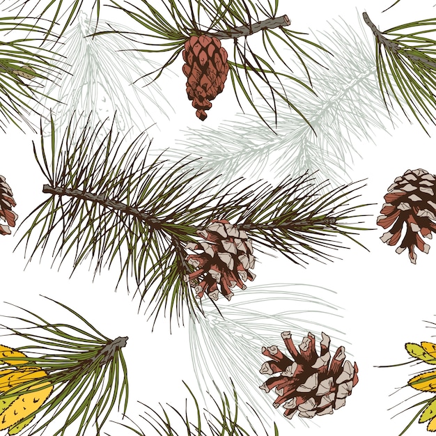 Colored pine fir branches and cones forest wood seamless pattern vector illustration