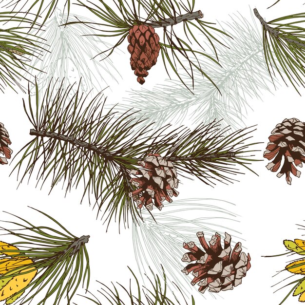 Colored pine fir branches and cones forest wood seamless pattern vector illustration