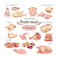 Free vector colored sketch chicken meat parts set