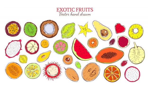 Бесплатное векторное изображение Цветной эскиз коллекции натуральных экзотических продуктов