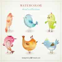 Free vector colored watercolor birds collection