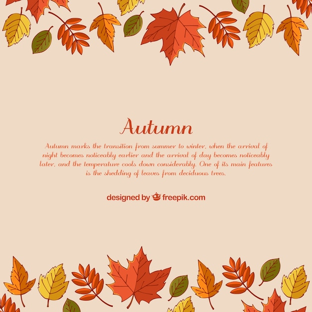 Colorful autumn background with hand drawn leaves