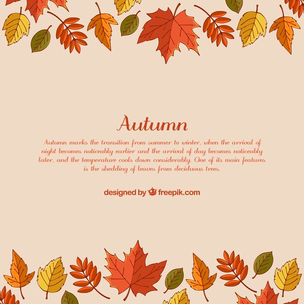 Colorful autumn background with hand drawn leaves