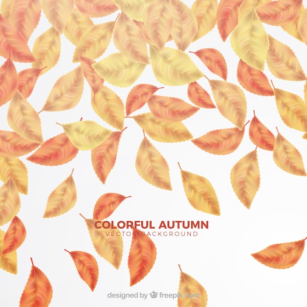 Красочный осенний фон с листьями