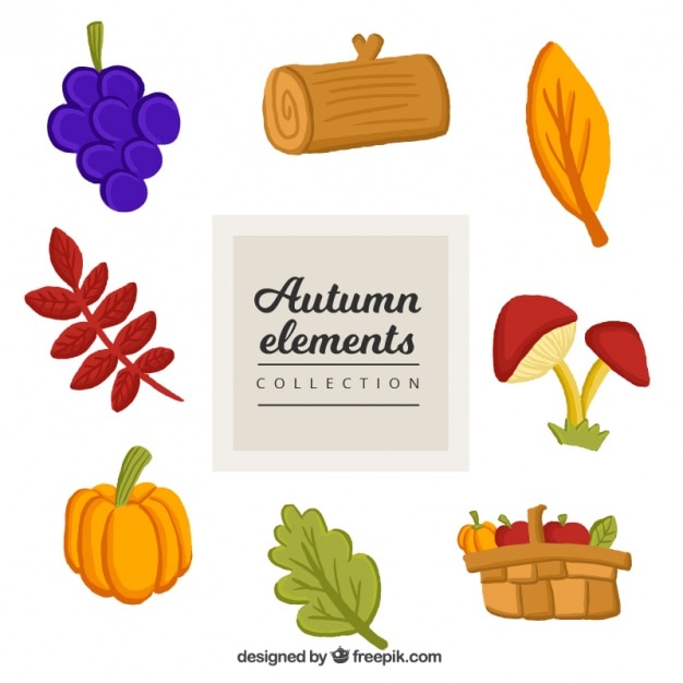 Free vector colorful autumn items collection