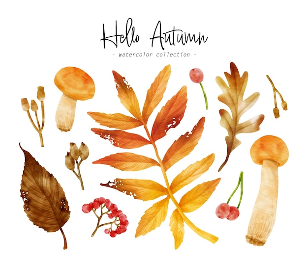 装飾的な要素のカラフルな秋の葉の水彩イラスト