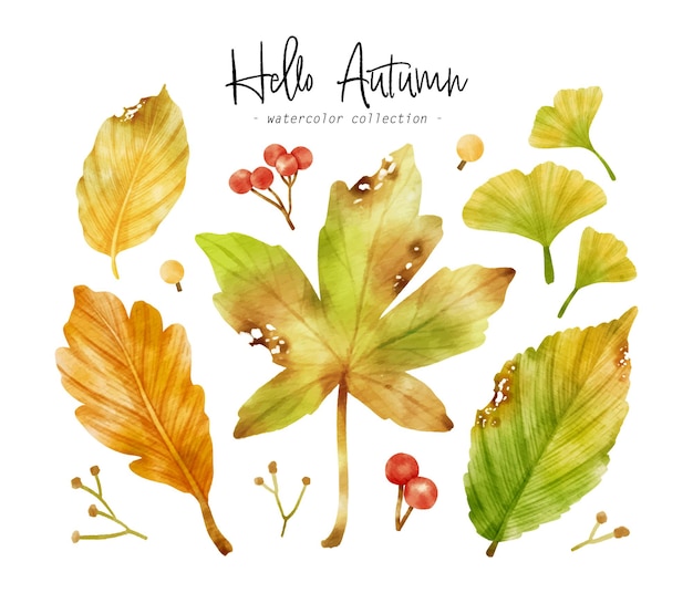 Colorful Autumn Leaf watercolor illustration for Decorative Element