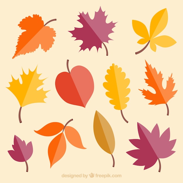 Коллекция цветных осенних листьев