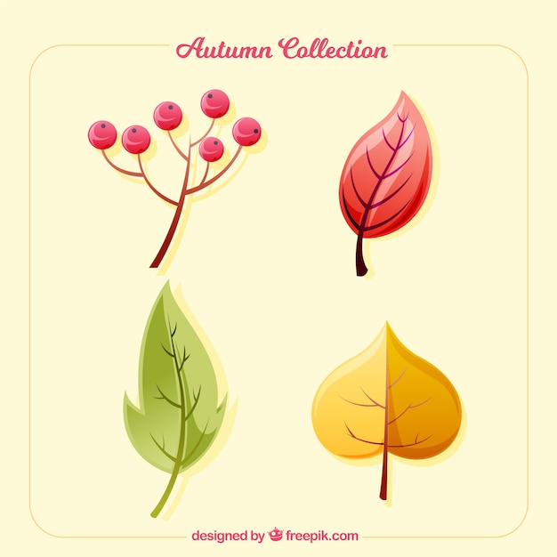 Free vector colorful autumn leaves collection