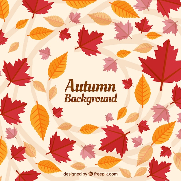 Colorful autumnal leaves with flat design