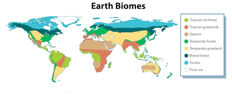 Free Vector colorful biomes a world map divided by regions