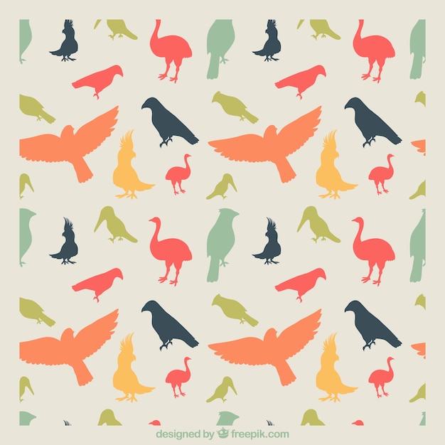 Free vector colorful bird pattern