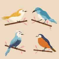 Free vector colorful birds collection illustration