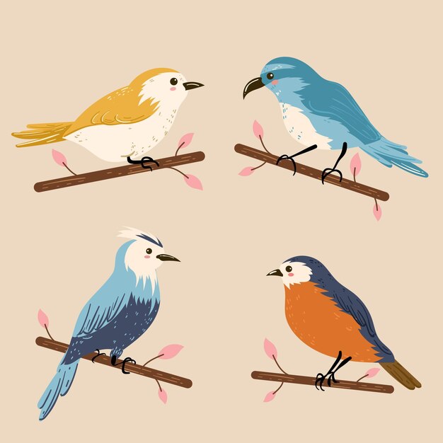 カラフルな鳥のコレクションのイラスト