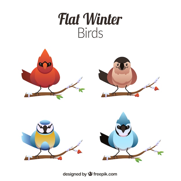 Free vector colorful birds in flat design