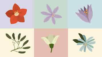 Free vector colorful blooming winter botanicals mobile wallpaper