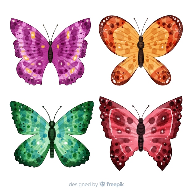 カラフルな蝶のコレクション
