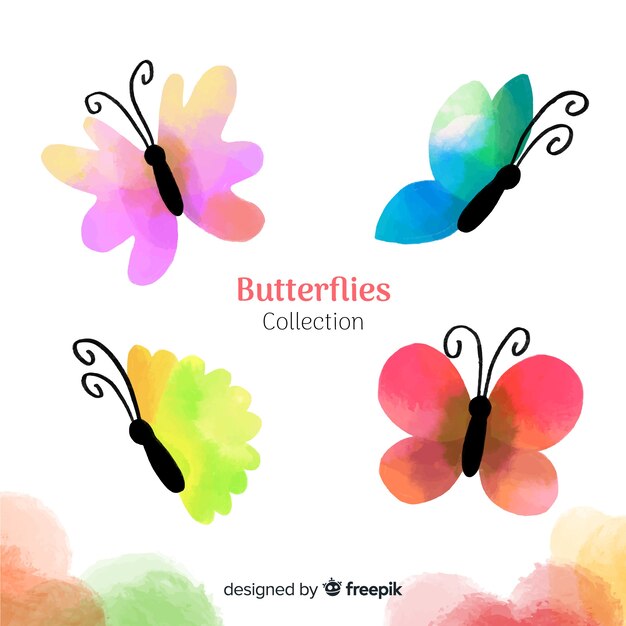 Colorful butterflies collection