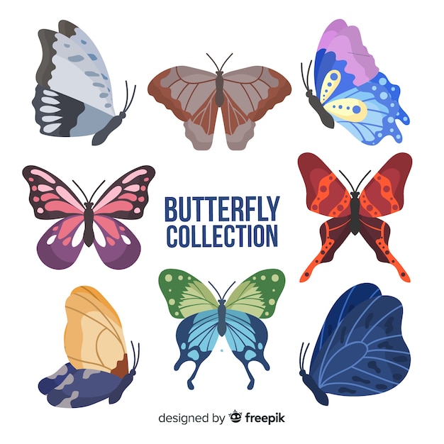 Colorful butterflies collection