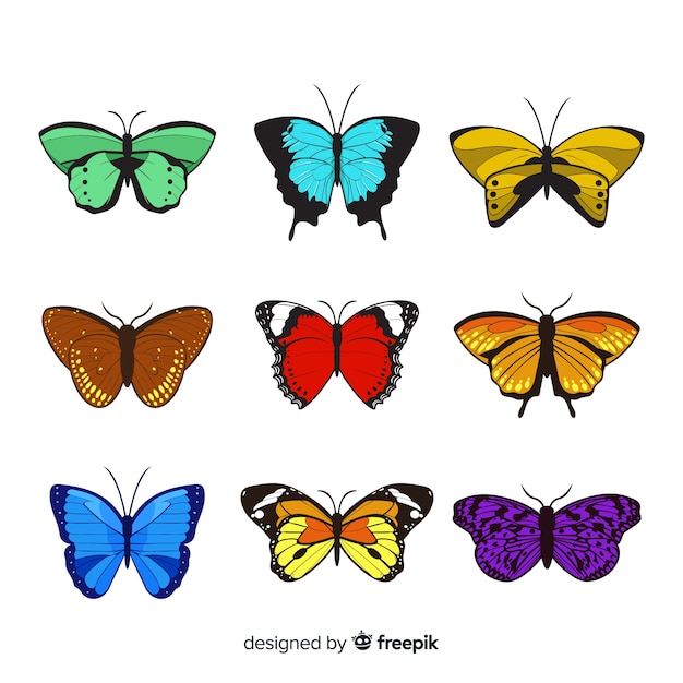 Free vector colorful butterflies collection