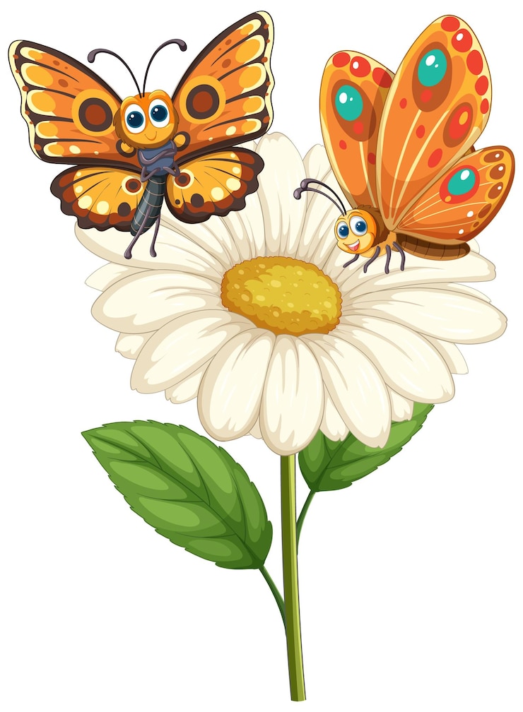 Free Vector colorful butterflies on daisy flower