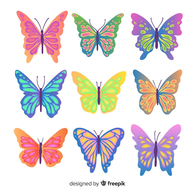 Colorful butterfly collection