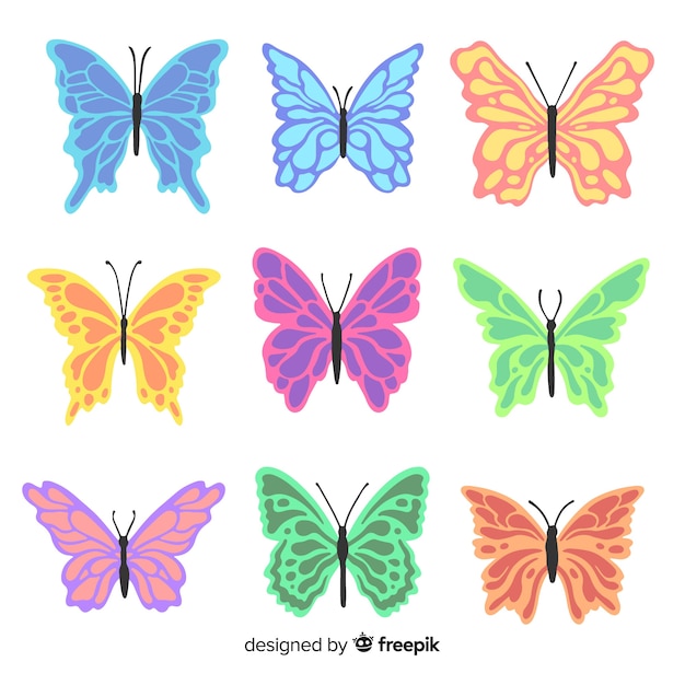 Colorful butterfly collection