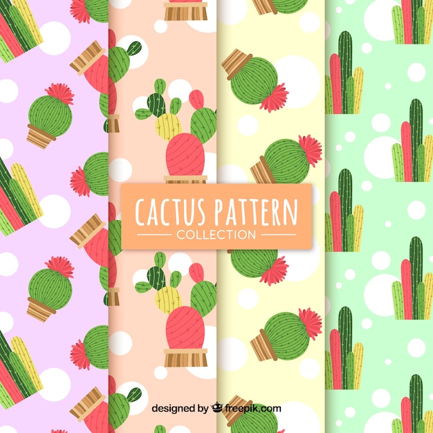 Colorful cactus pattern