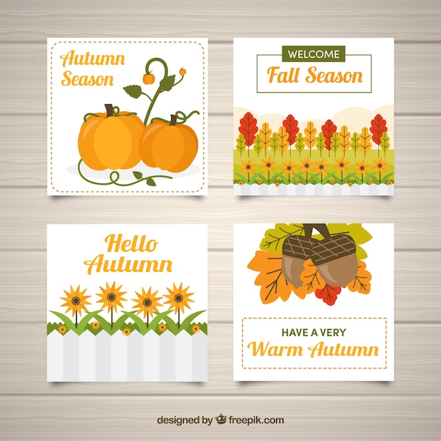 Colorful card collection with autumn elements