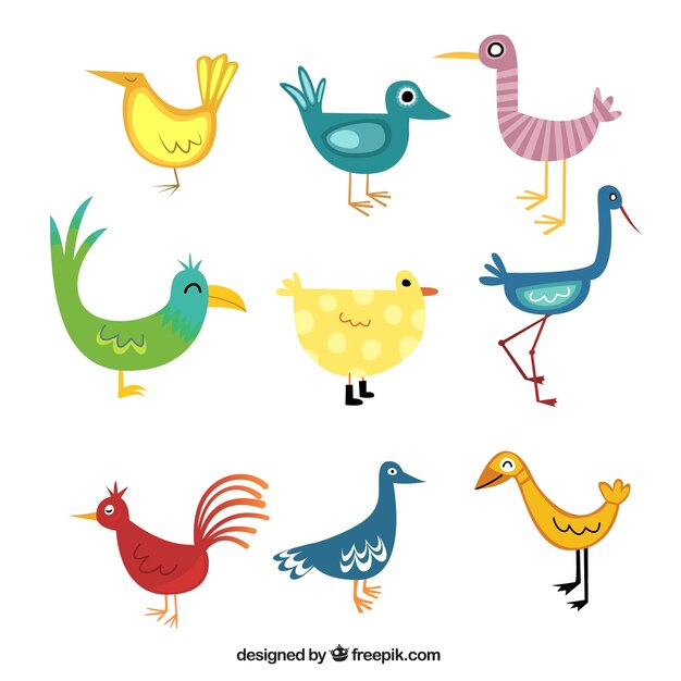 Free Vector colorful cartoon birds