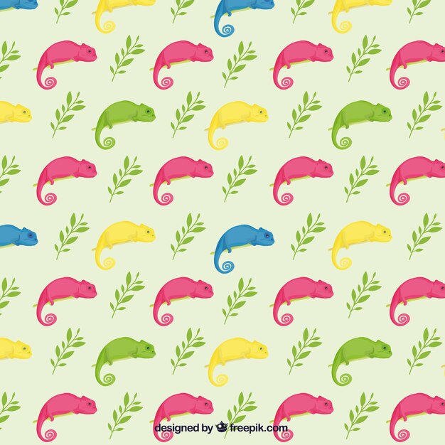 Colorful chameleon pattern