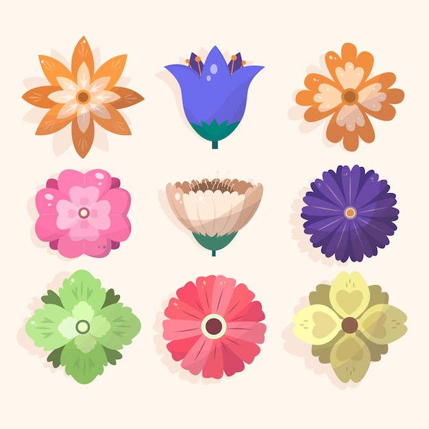 Free vector colorful collection of spring flowers